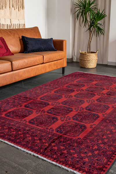 Aghche - Afghani Hand Knotted 100% Wool Rug 102 - 300x200cm