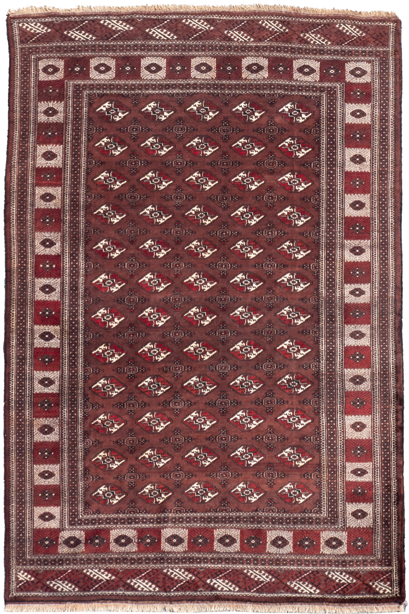 Torkoman - Hand Knotted Wool - 390X270 cms