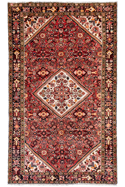 Hossainabad - Hand Knotted Wool Rug - 295x150cm