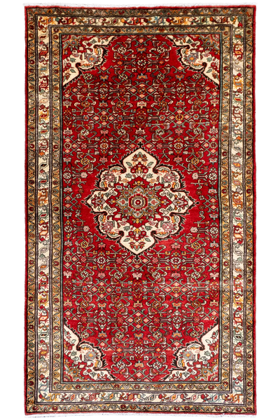 Hossainabad - Hand Knotted Wool Rug - 310x160cm