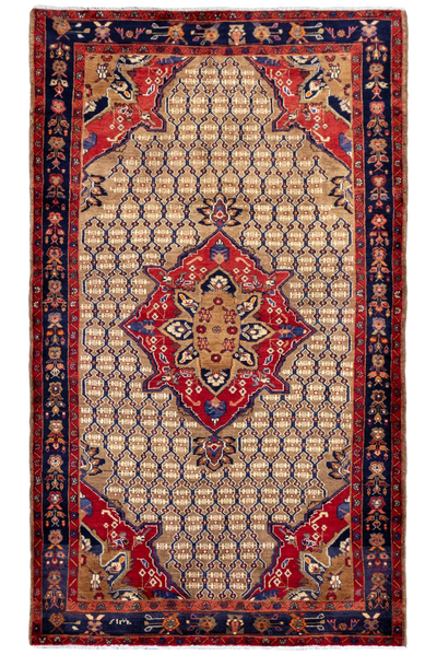 Zabul Hand Knotted Wool rug 296x160cm