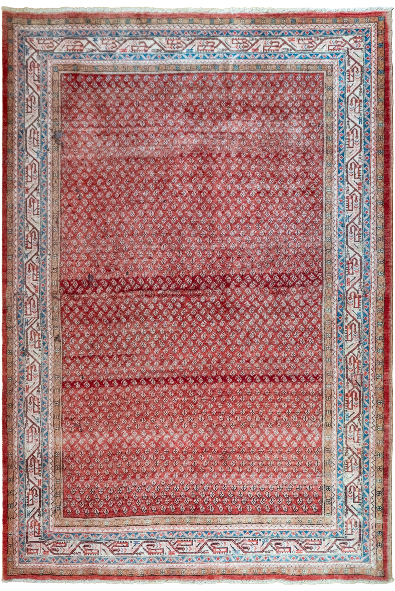 Saraban - Persian Hand Knotted  Wool Rug 315x214 cm