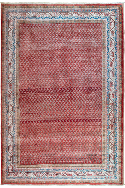 Saraban - Persian Hand Knotted  Wool Rug 315x214 cm