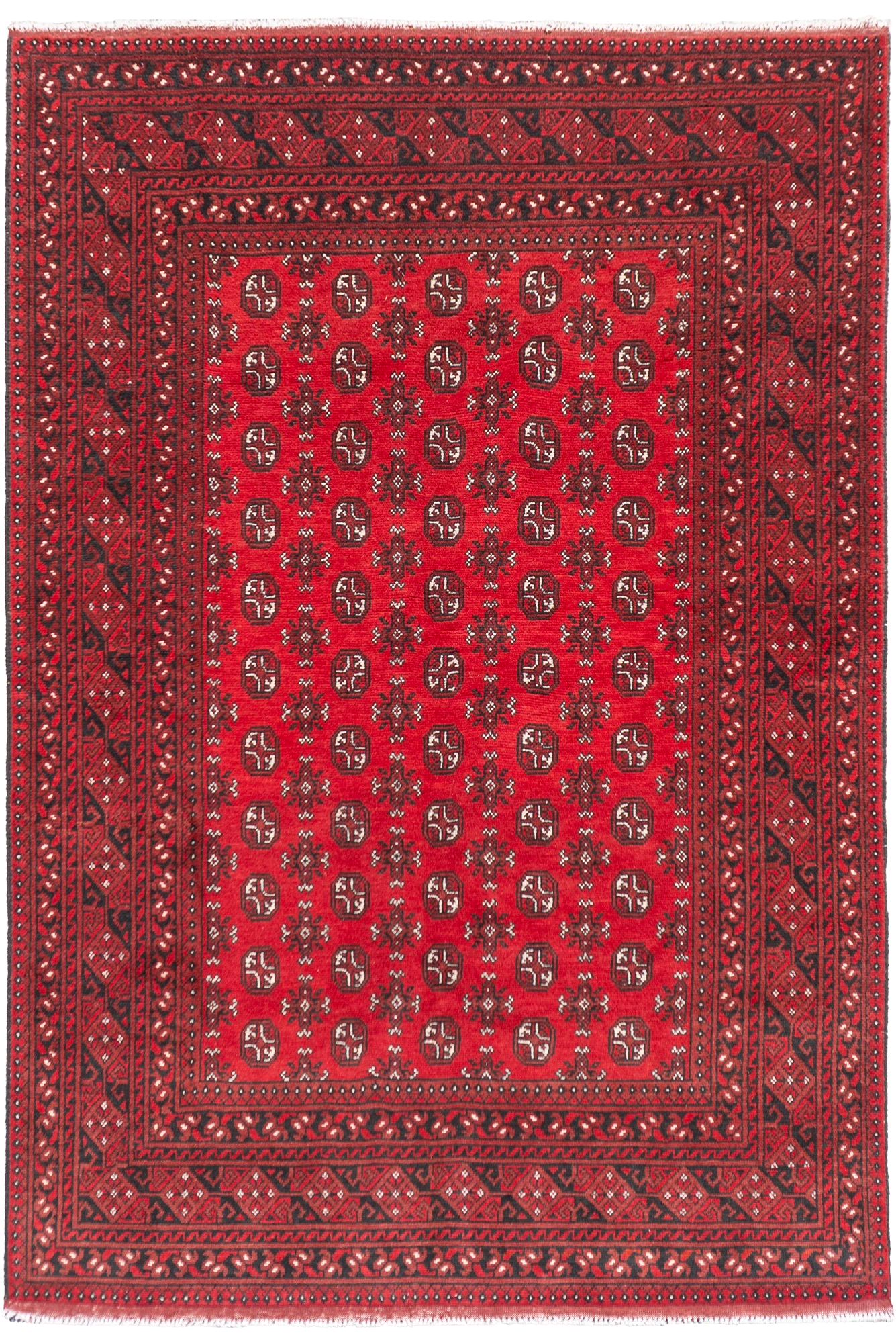 Aghche - Hand Knotted Wool Rug - 295 x 200cm | 102