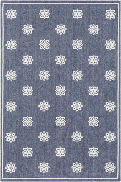 Aperto Indoor/Outdoor Rug - 113 Blue