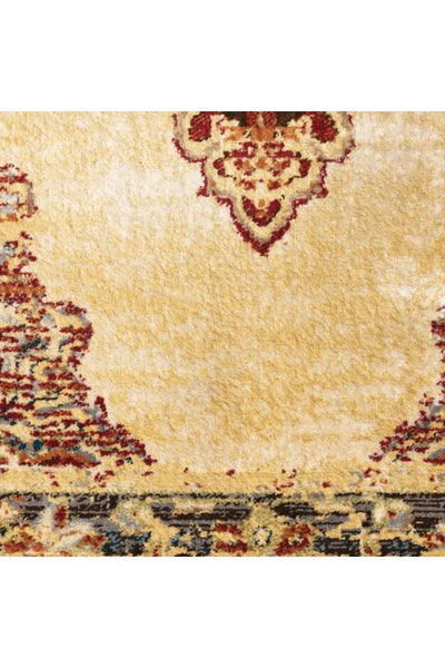 Classic Traditional Rug - 103 Rust