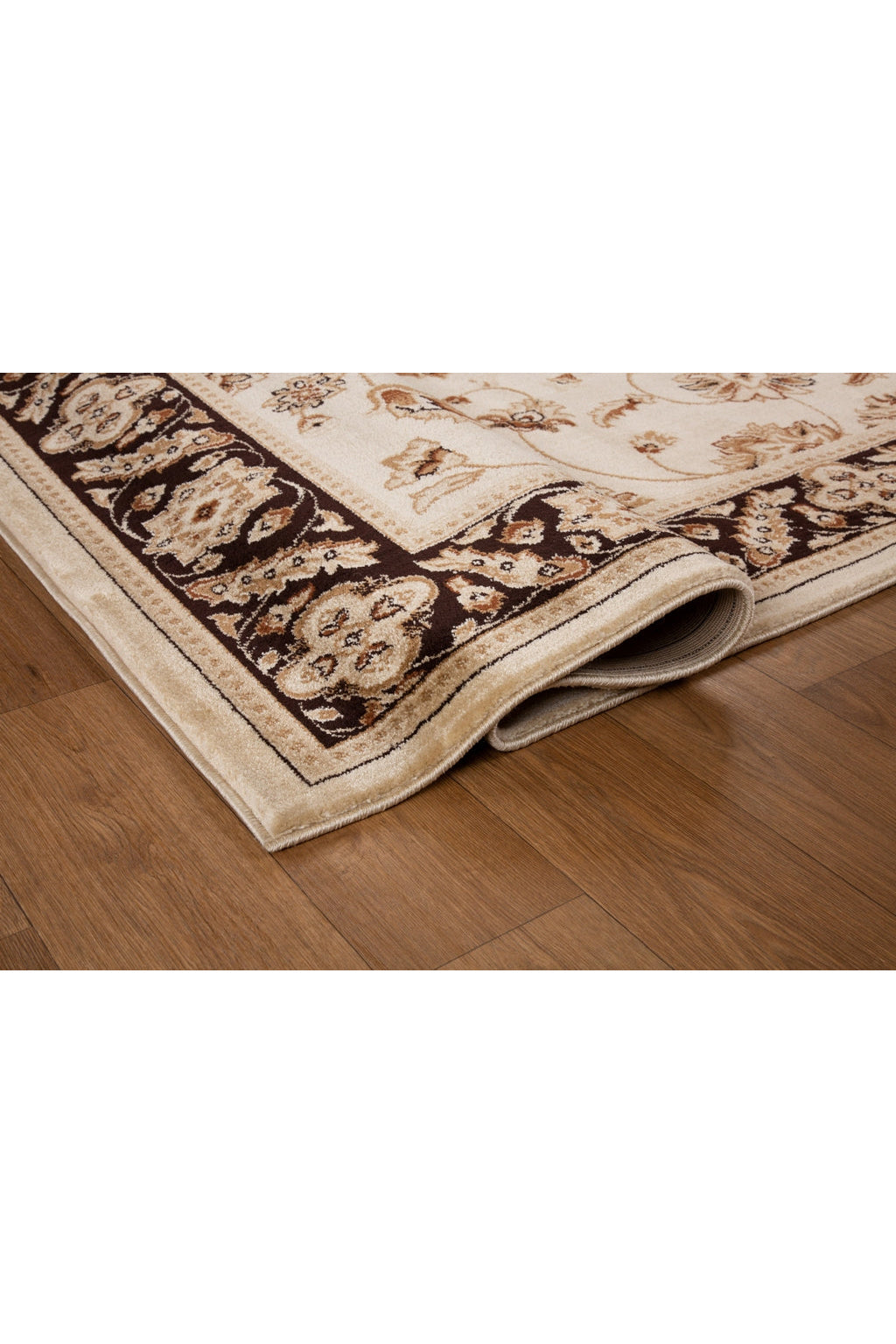 Colorado Traditional Rug - 101 Brown