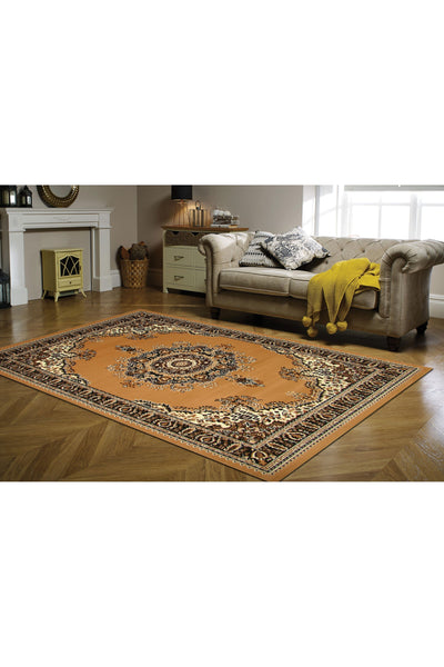 Gino Traditional Rug - 124 Brown