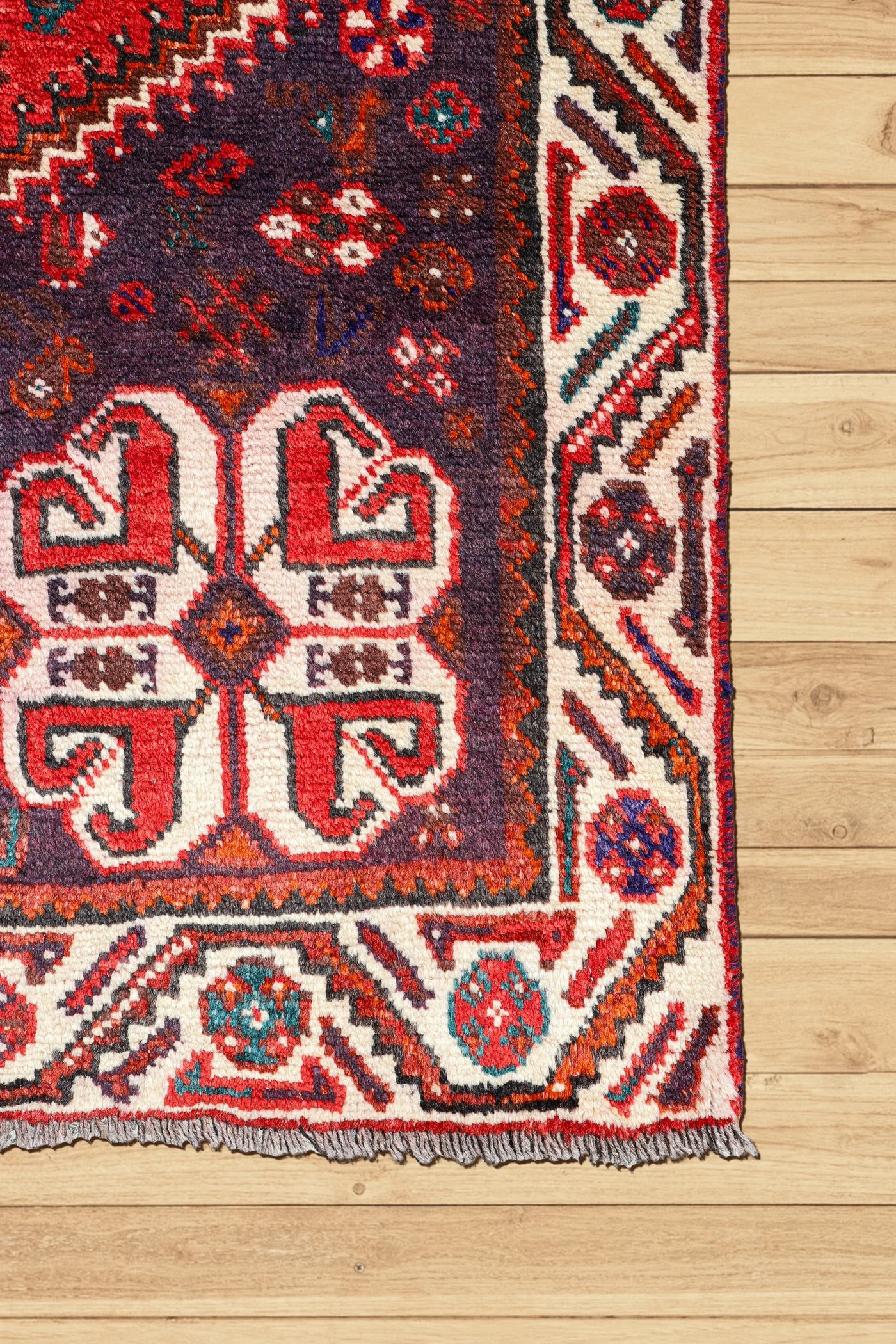 Shiraz Hand Knotted Wool Rug  293x204cm