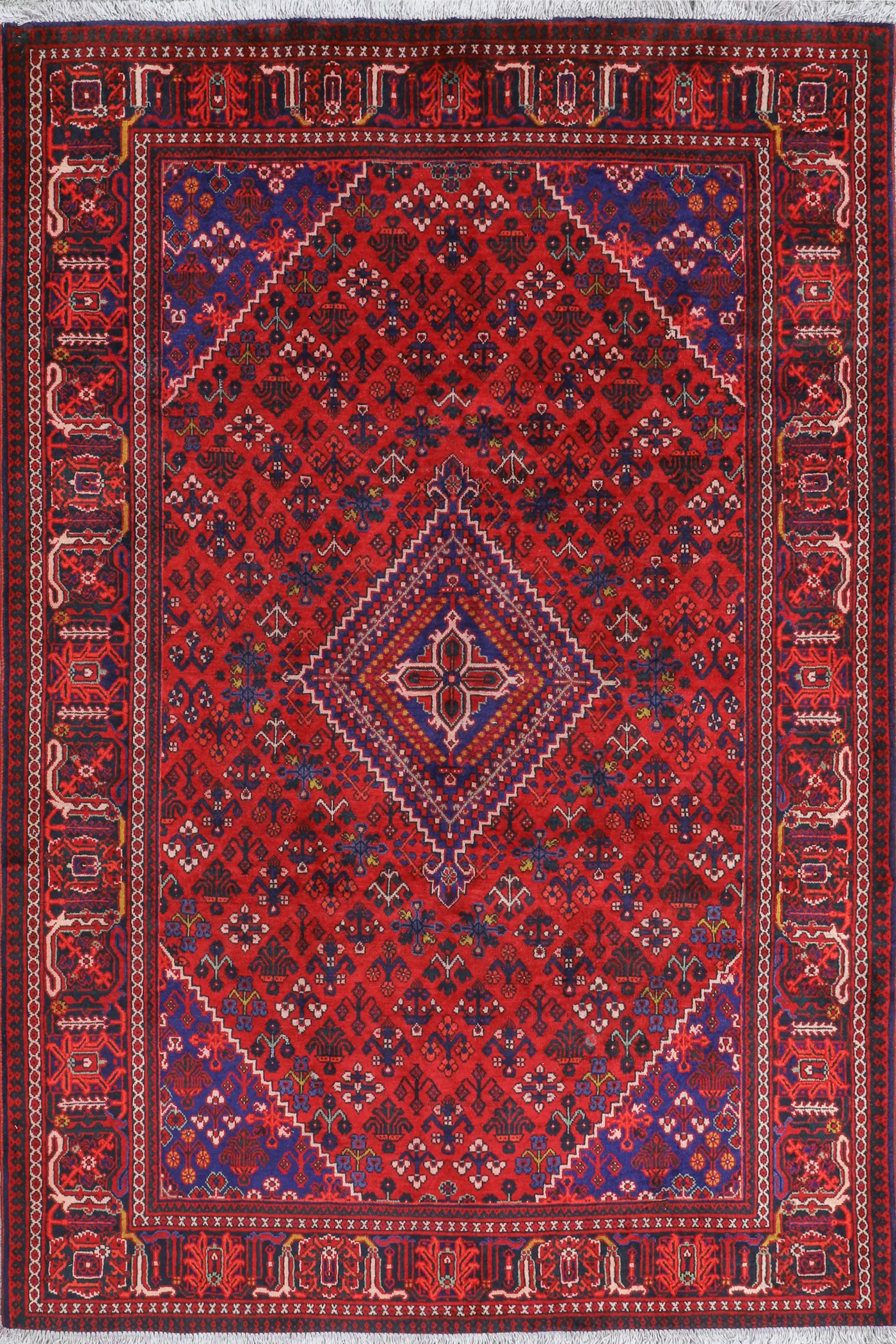 Maymeh -Persian Hand-Knotted Wool Rug - 300x200 cms
