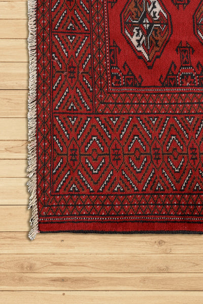 Torkon - Hand Knotted Wool - 280x198 cms