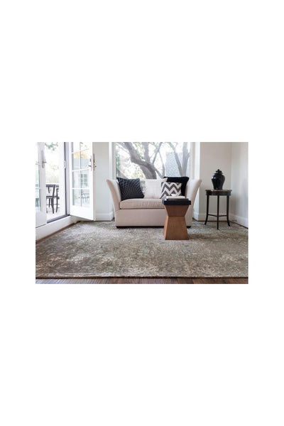 Lidia Distressed Rug -105 Brown