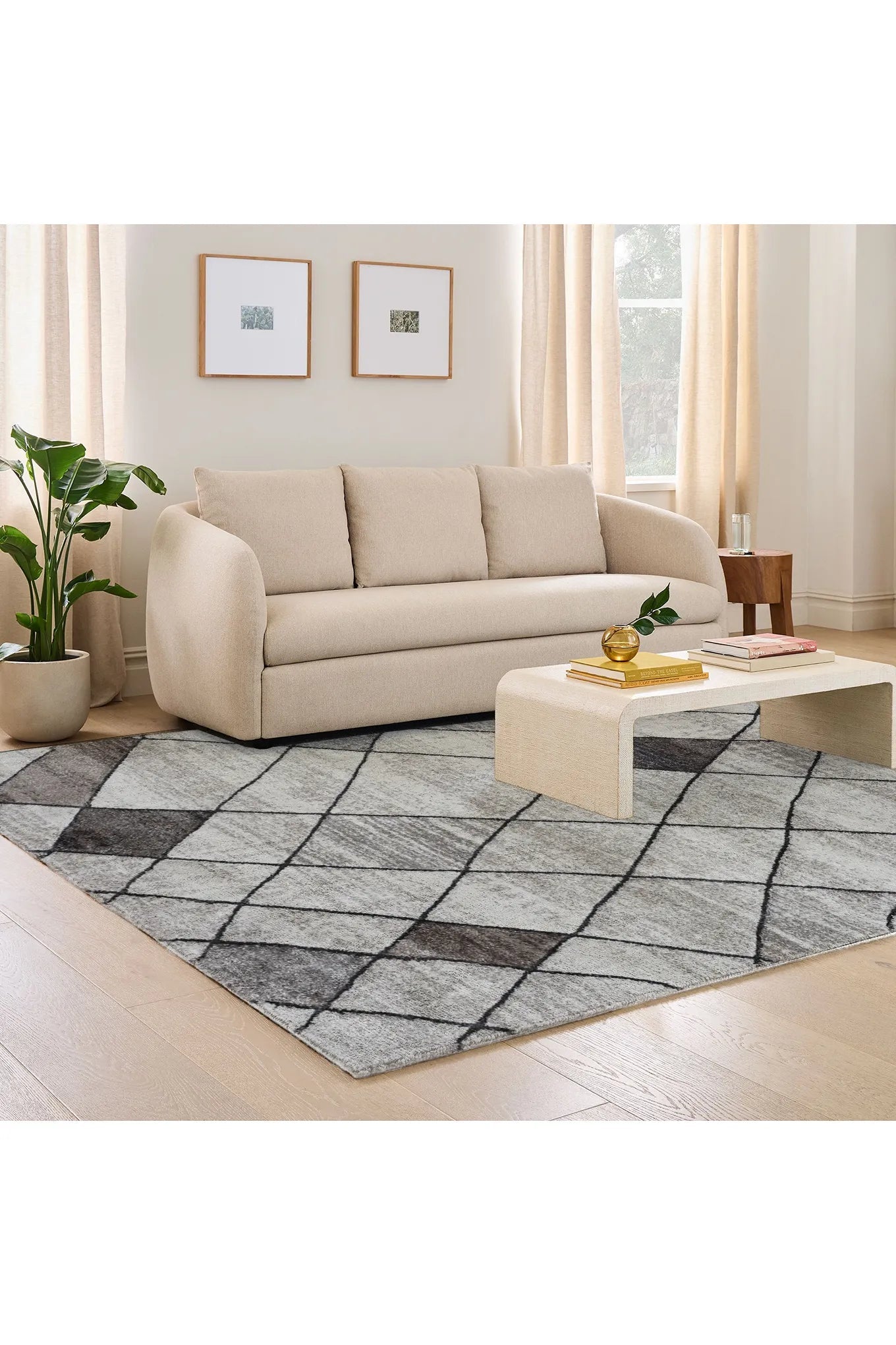 Missouri Contemporary Rug - 102 Beige