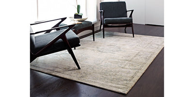 Raymond Traditional Rug - 113 Beige