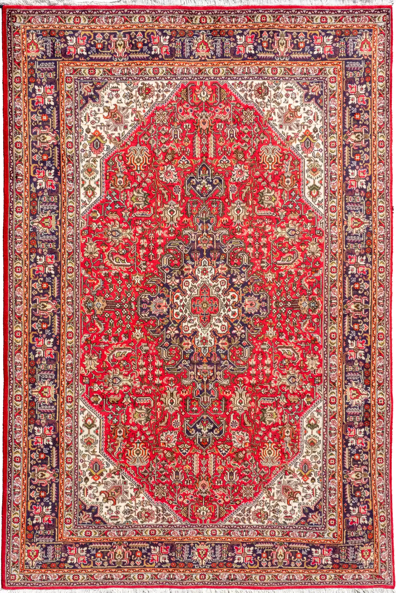 Tabriz - Hand Knotted Rug - 300 x 200cm - Wool