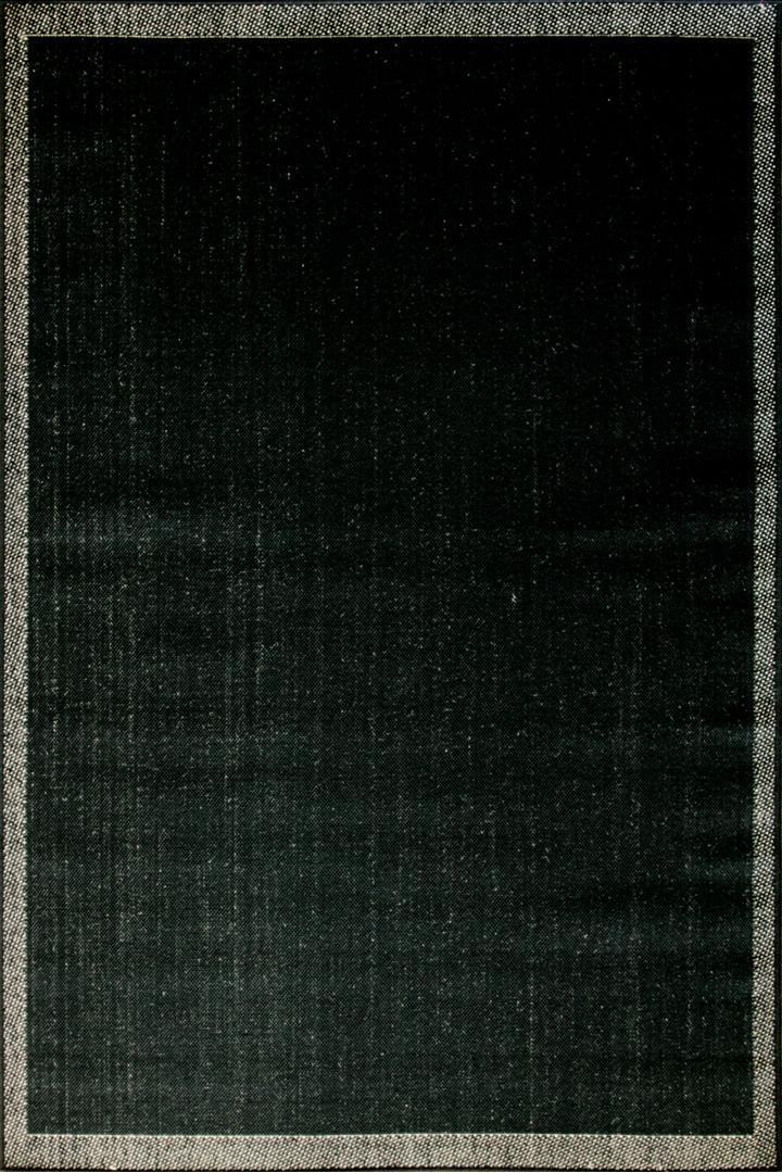 Sisalo Border Flatweave Rug - 189 Black